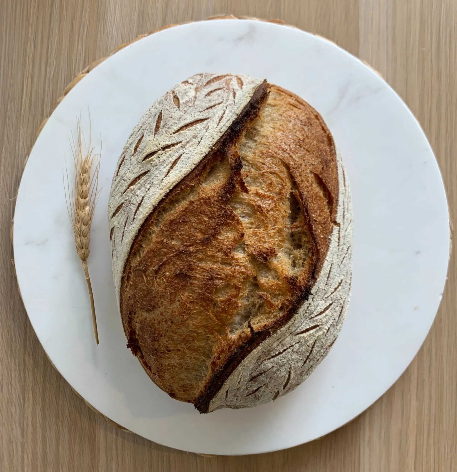 Sourdough Workshop Gold Coast: What to Expect on Day One