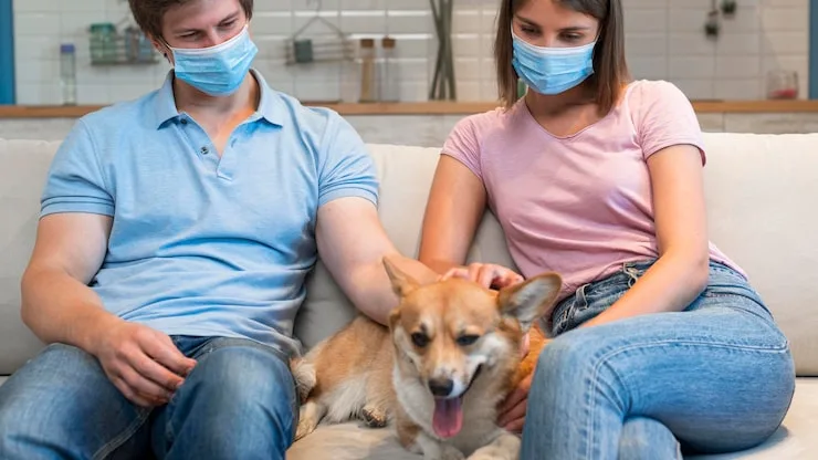 Compassionate Pet Euthanasia near me: Balancing Care and cheap Euthanasia