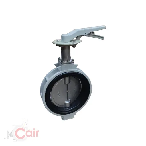Why Choose Cair Euromatic Automation for Industrial Butterfly Valve Requirements?