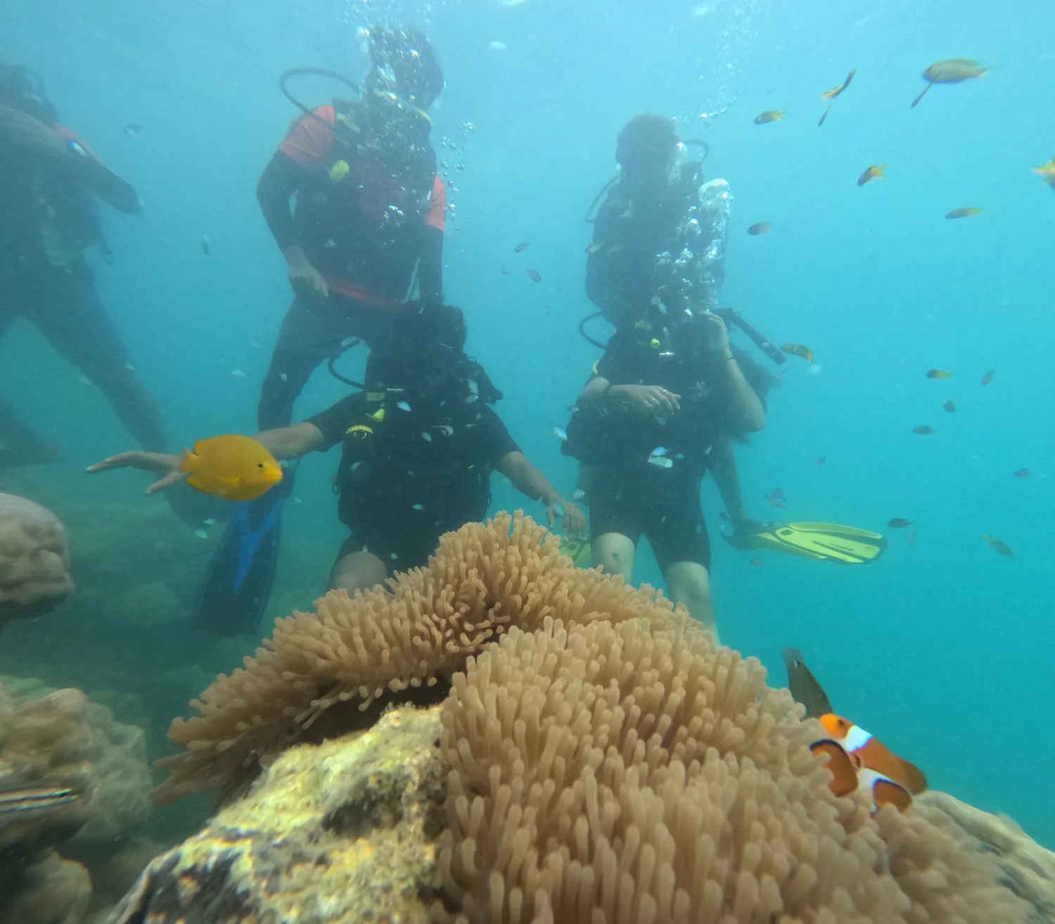 Discover the Magic Beneath the Waves: Your Complete Guide to Scuba Diving in Andaman