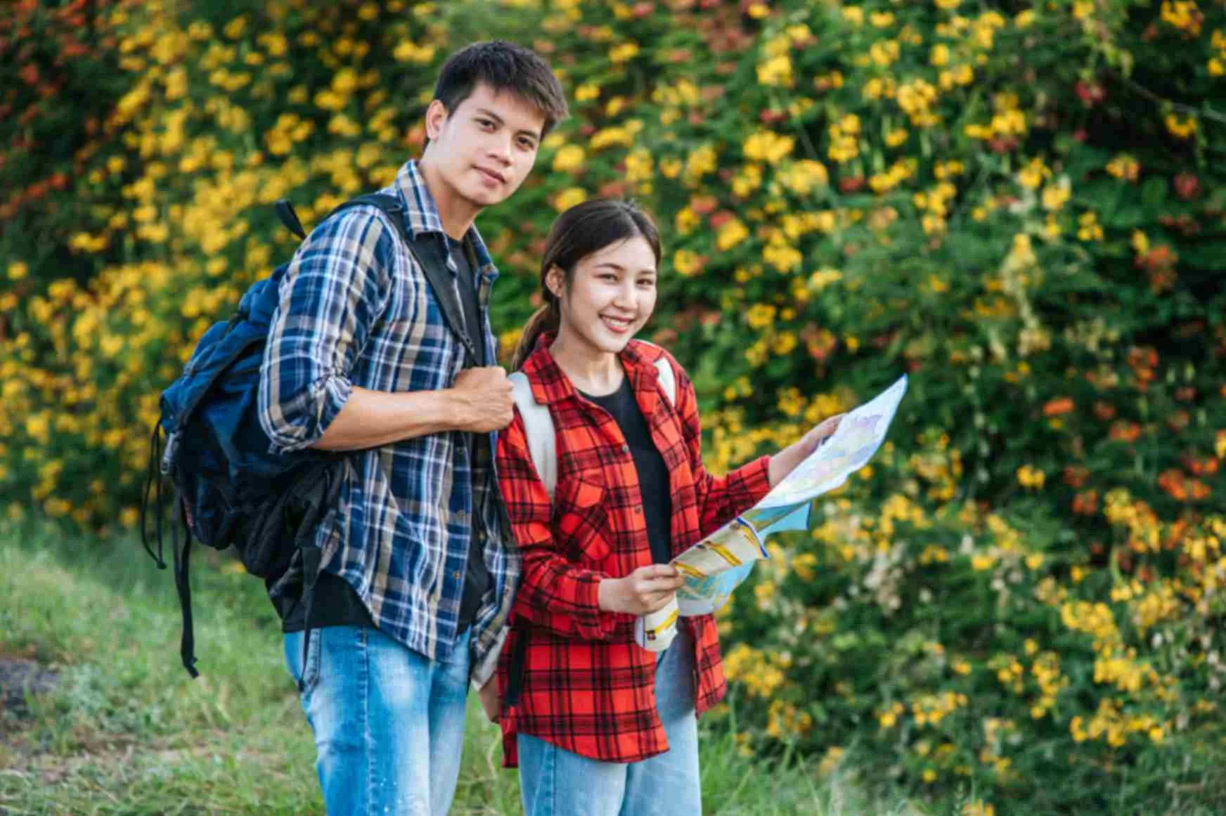 Best Design Courses After 12th: Career Options, Specialisations and Skills Students Should Know