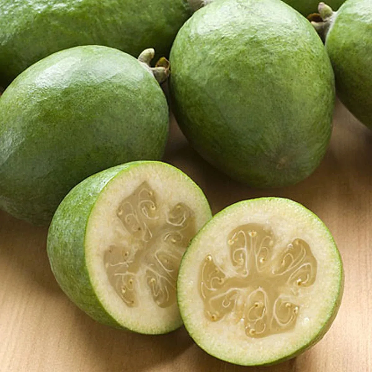 Feijoa ‘White Goose’ Plant in Sydney – Grow Sweet Pineapple Guavas at Home