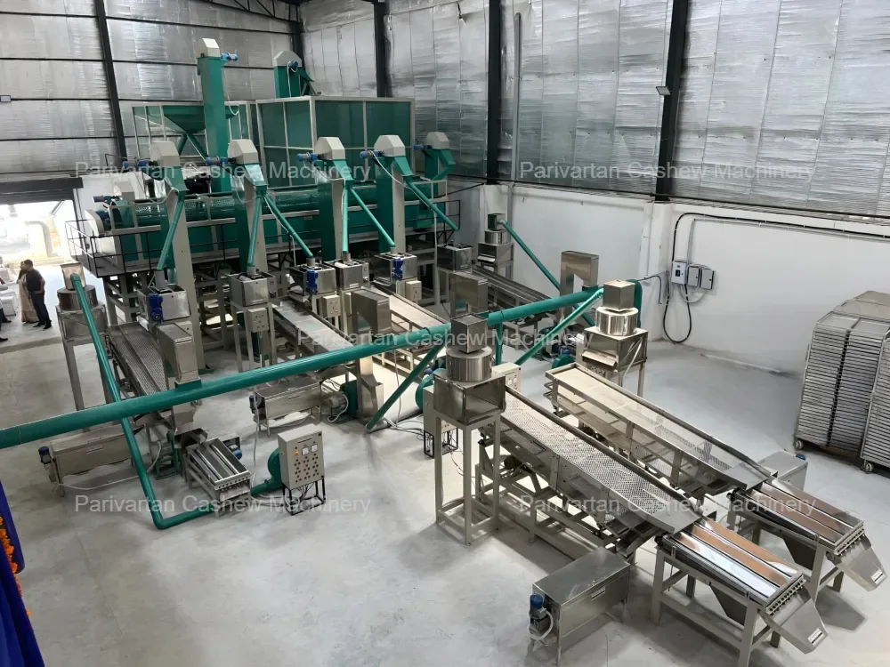 What Is a Cashew Nut Processing Machine? Complete Guide for Modern Plants