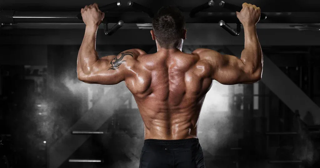 Top Dumbbell Back Exercises for Muscle Growth and Better Posture