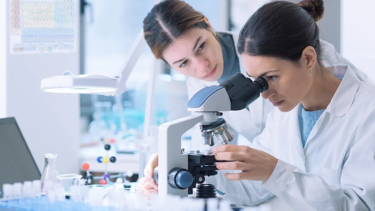 Exploring Modern Assay Tools for Advanced Laboratory Work