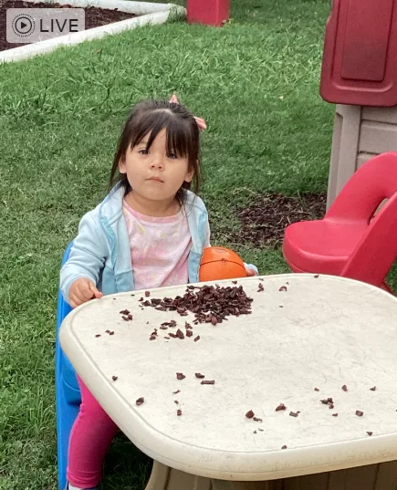 Navigating Child Daycare in Texas: What Parents Need to Know