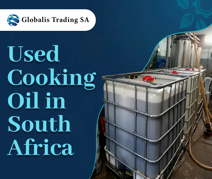 Used Cooking Oil in South Africa Supporting Industrial Recycling and Sustainable Use
