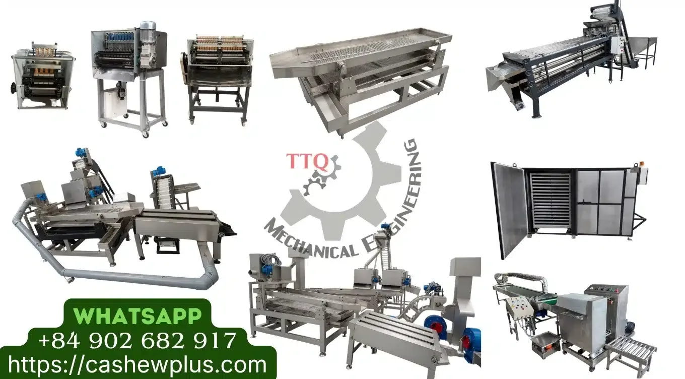 Why a Cashew Roasting Machine Is Essential for Modern Nut Processing
