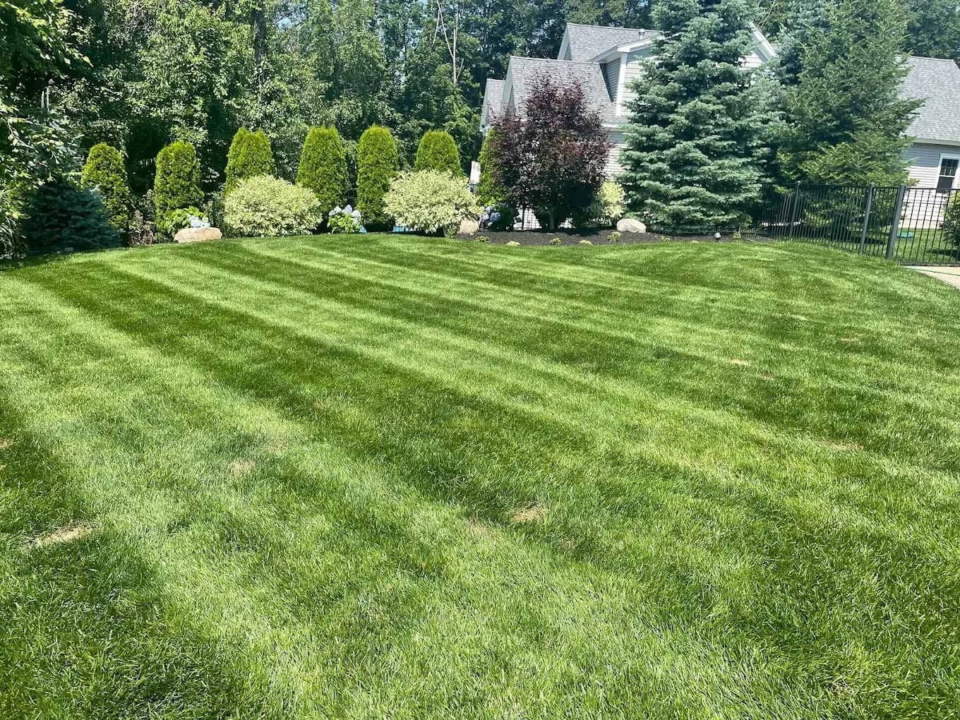 Why Professional Landscaping Is Essential for Commercial Properties