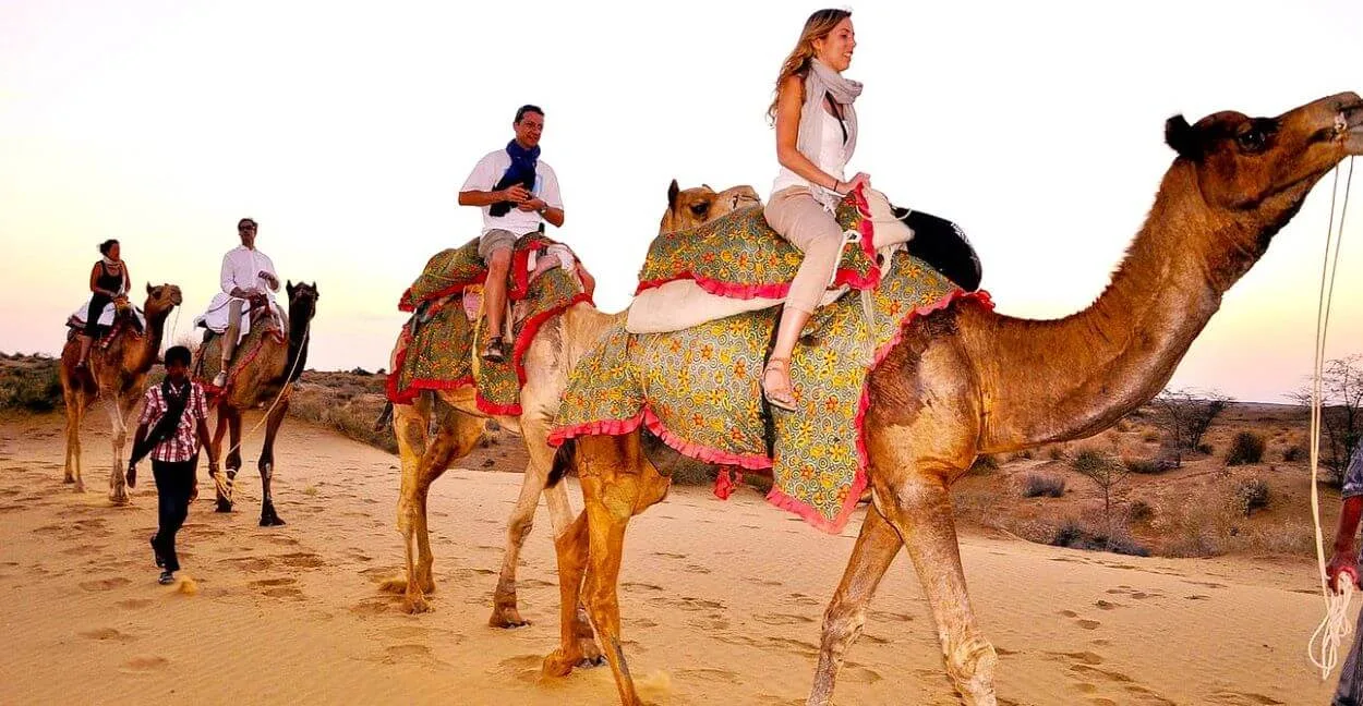 Winter in Jaisalmer: Living Forts, Sand Dunes, and Starlit Skies