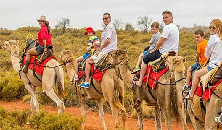 Exploring Rajasthan in 5 Days: Day-by-Day Route and Travel Tips