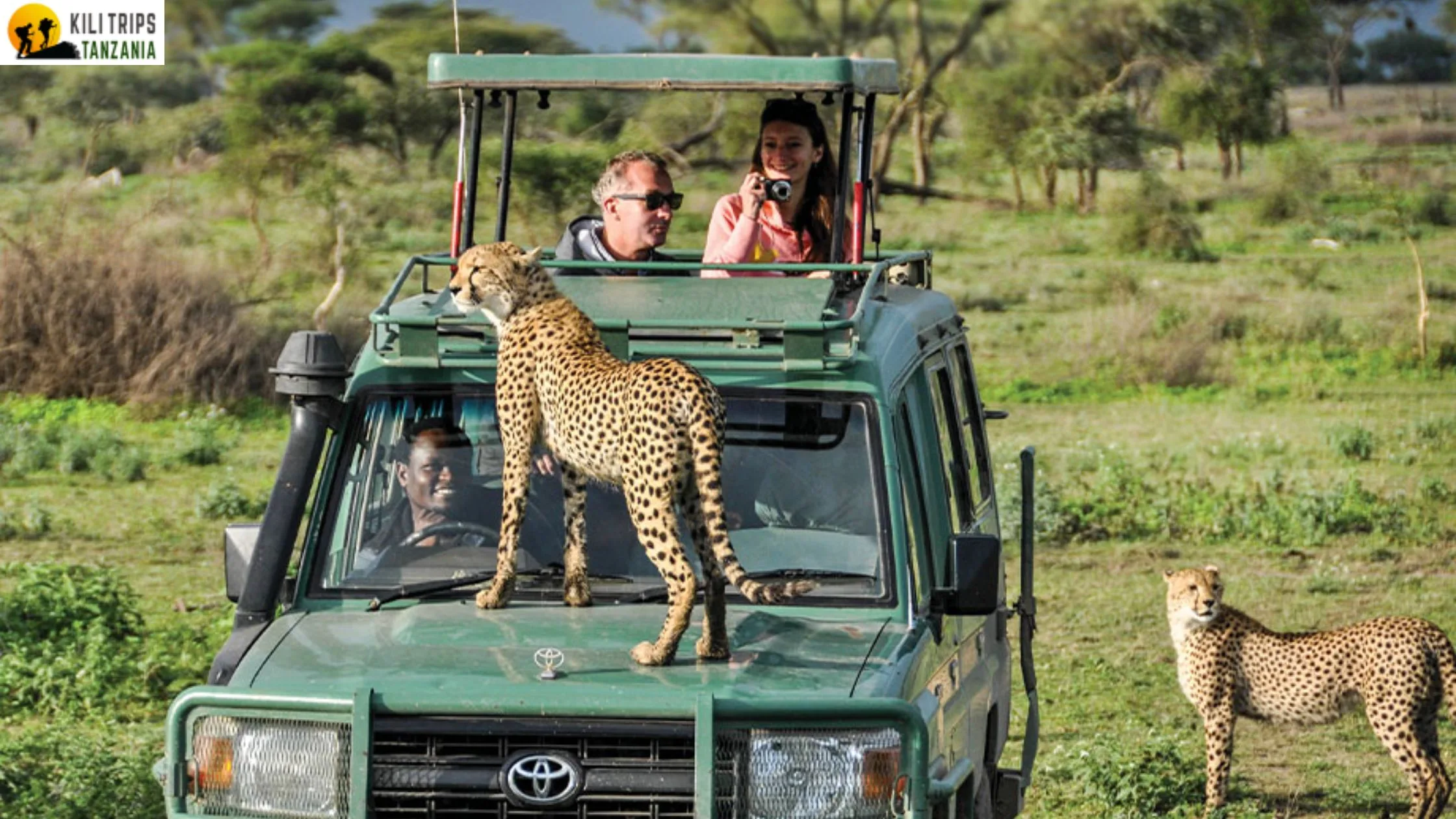 Adventure Travel in Tanzania and the Growing Demand for Authentic African Experiences