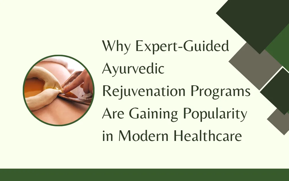 Why Expert-Guided Ayurvedic Rejuvenation Programs Are Gaining Popularity in Modern Healthcare