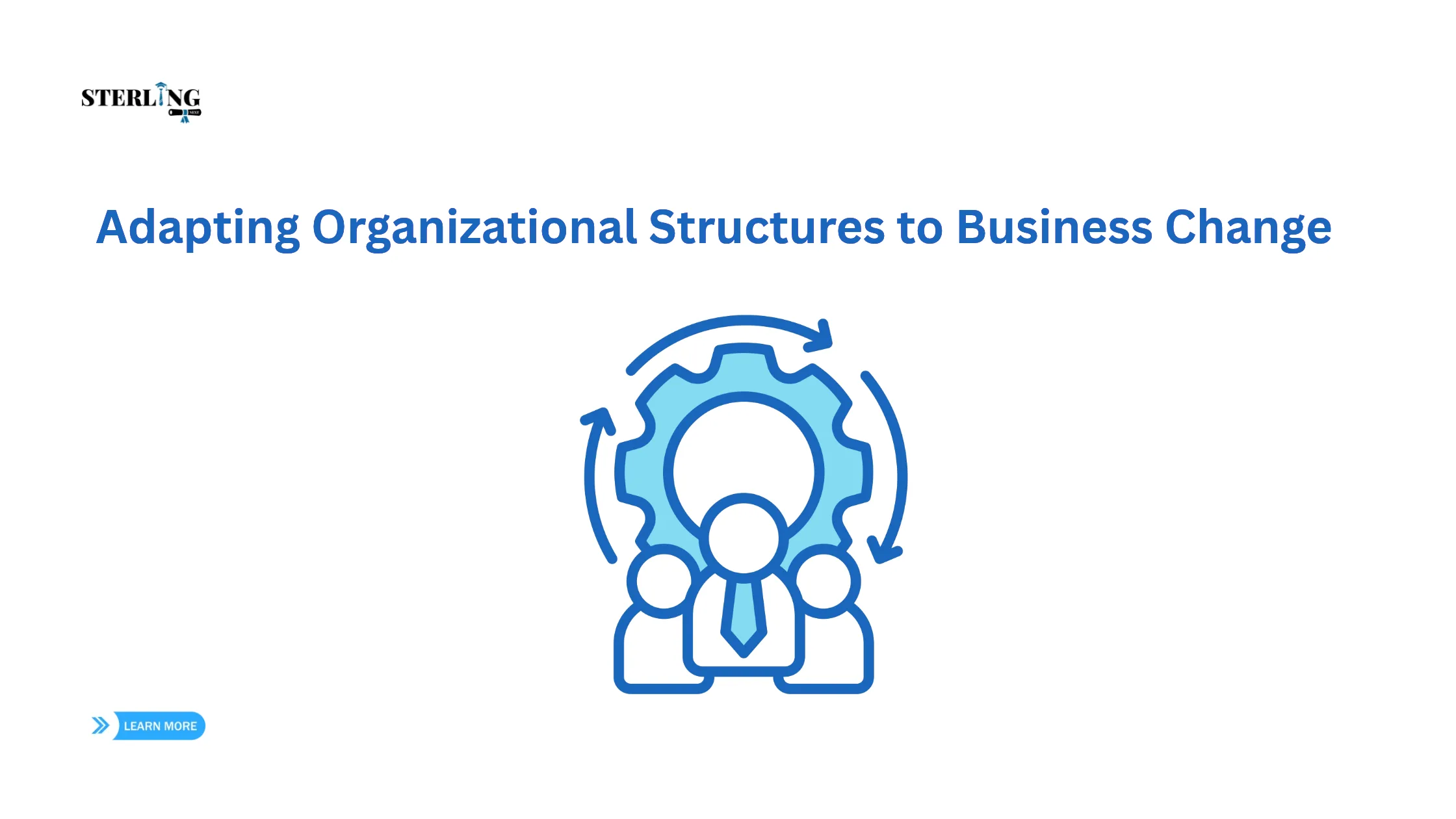 Why Flexible Organizational Structures Matter in Today’s Changing Business Environment