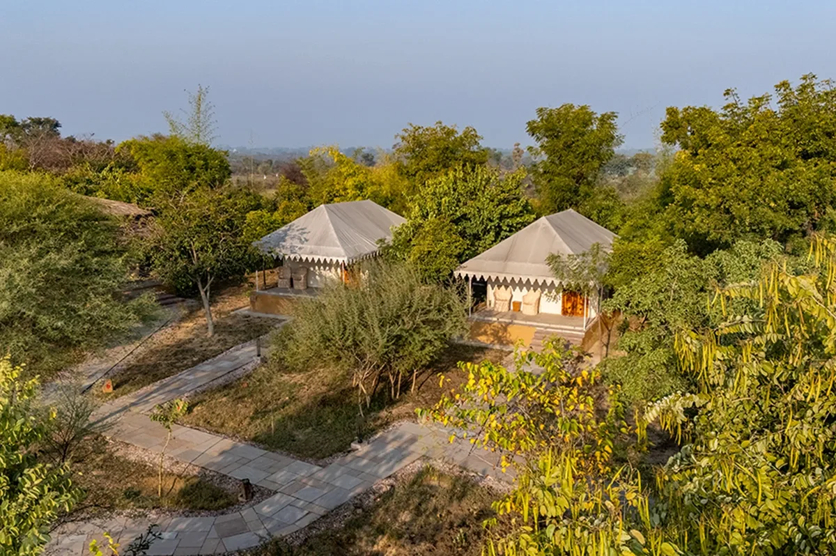Why Sariska Is One of Rajasthan's Top Nature Escapes