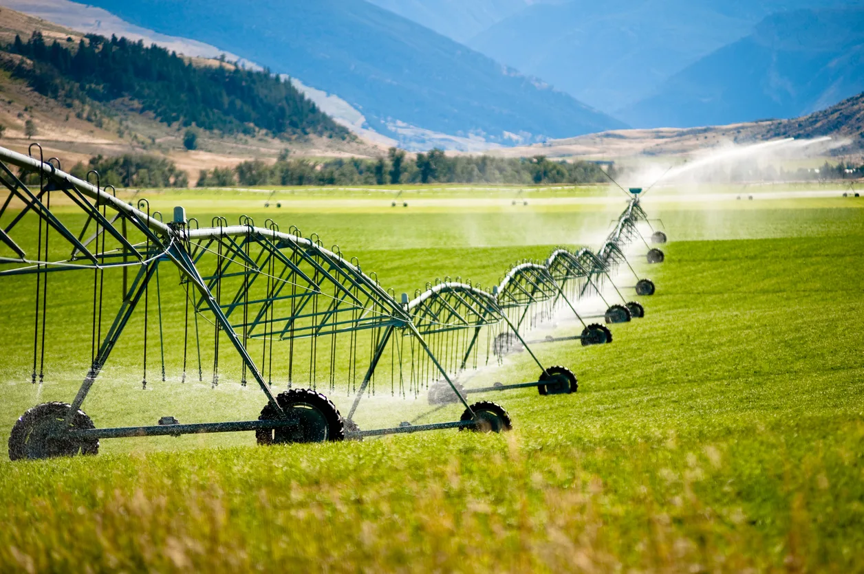 How Our Professional Irrigation System Installation Services Serve Properties Across Ascension Parish, LA