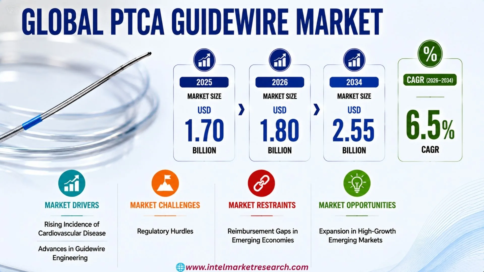 PTCA Guidewire Market’s 6.3% CAGR: Top Companies in 2026
