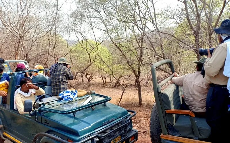Ranthambore Tour Guide: Best Itinerary & Sights