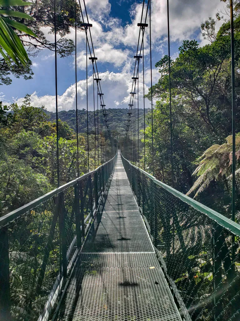 Best Time to Visit La Fortuna, Costa Rica: A Month-by-Month Guide