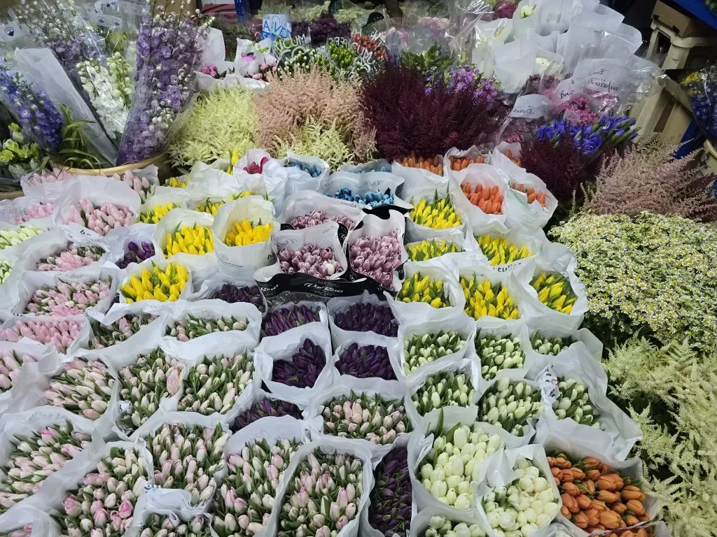15-Stunning Wedding Flower Arch Ideas for Dubai Venues