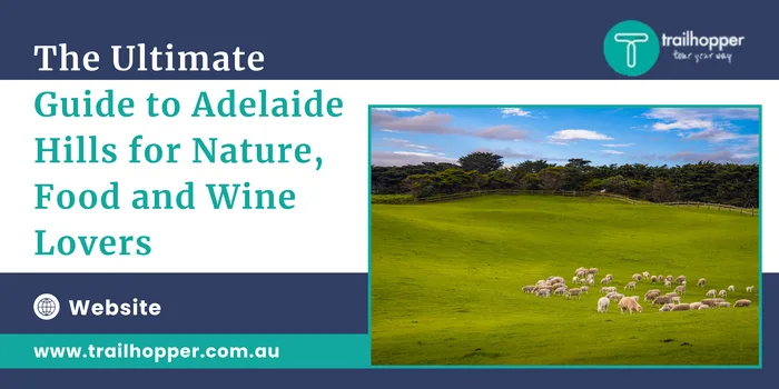 The Ultimate Guide to Adelaide Hills for Nature, Food and Wine Lovers