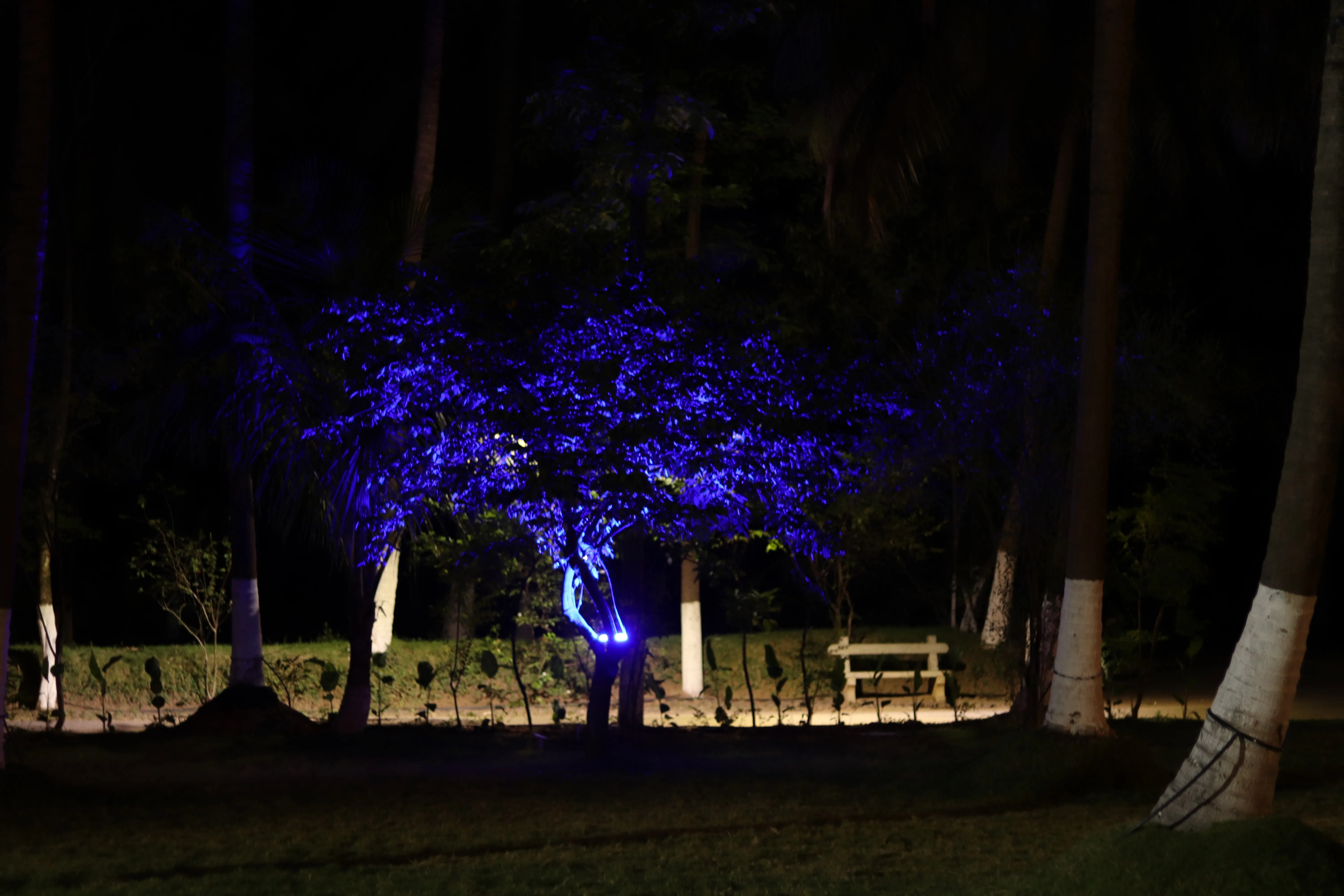 Boost Team Spirit at the Best Resorts in Coimbatore for Team Outing