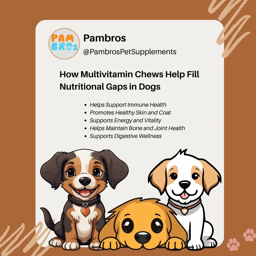 How Multivitamin Chews Help Fill Nutritional Gaps in Dogs