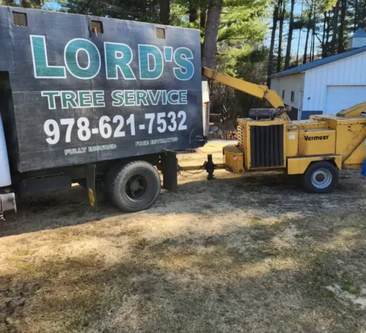 Professional Tree Trimming Services by Lord's Tree Service LLC