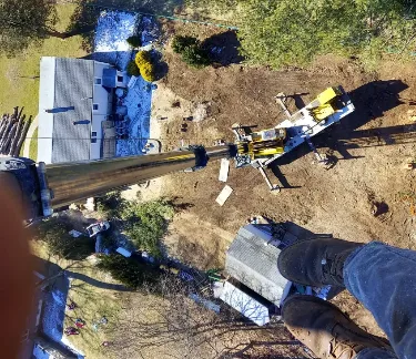 Tree Trimming Services at Lord's Tree Service LLC: Professional Care for Healthier, Safer Trees