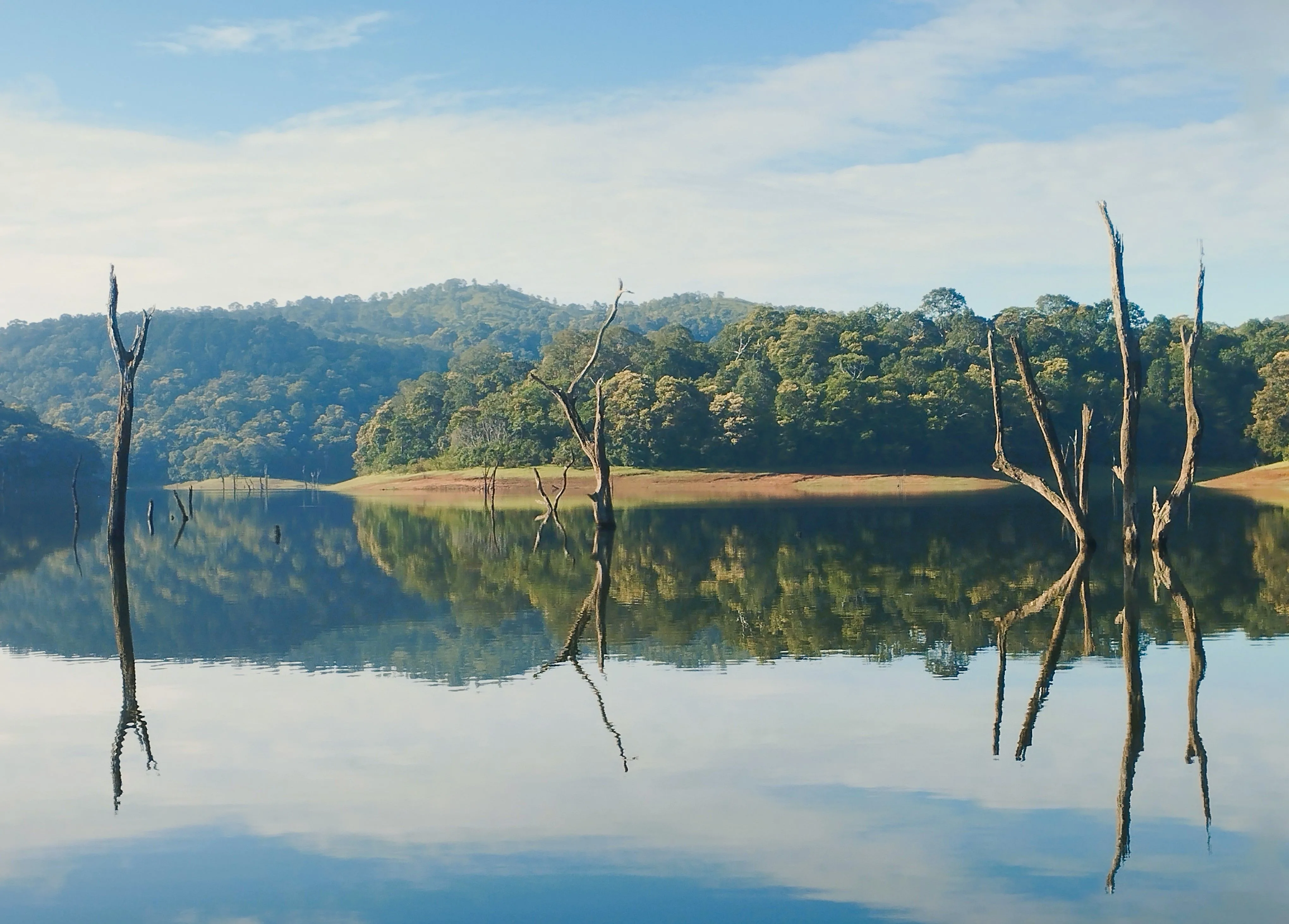 Best Honeymoon Resorts in Kerala for Couples