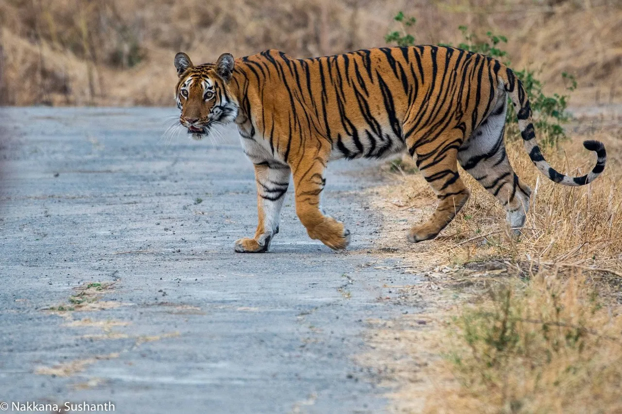 How to Plan a Memorable Trip to Yavatmal