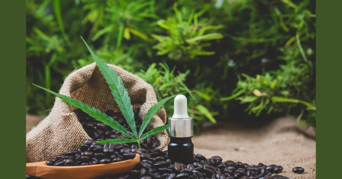 Identifying the Best Organic Pesticide for Cannabis: A Strategic Grower’s Guide
