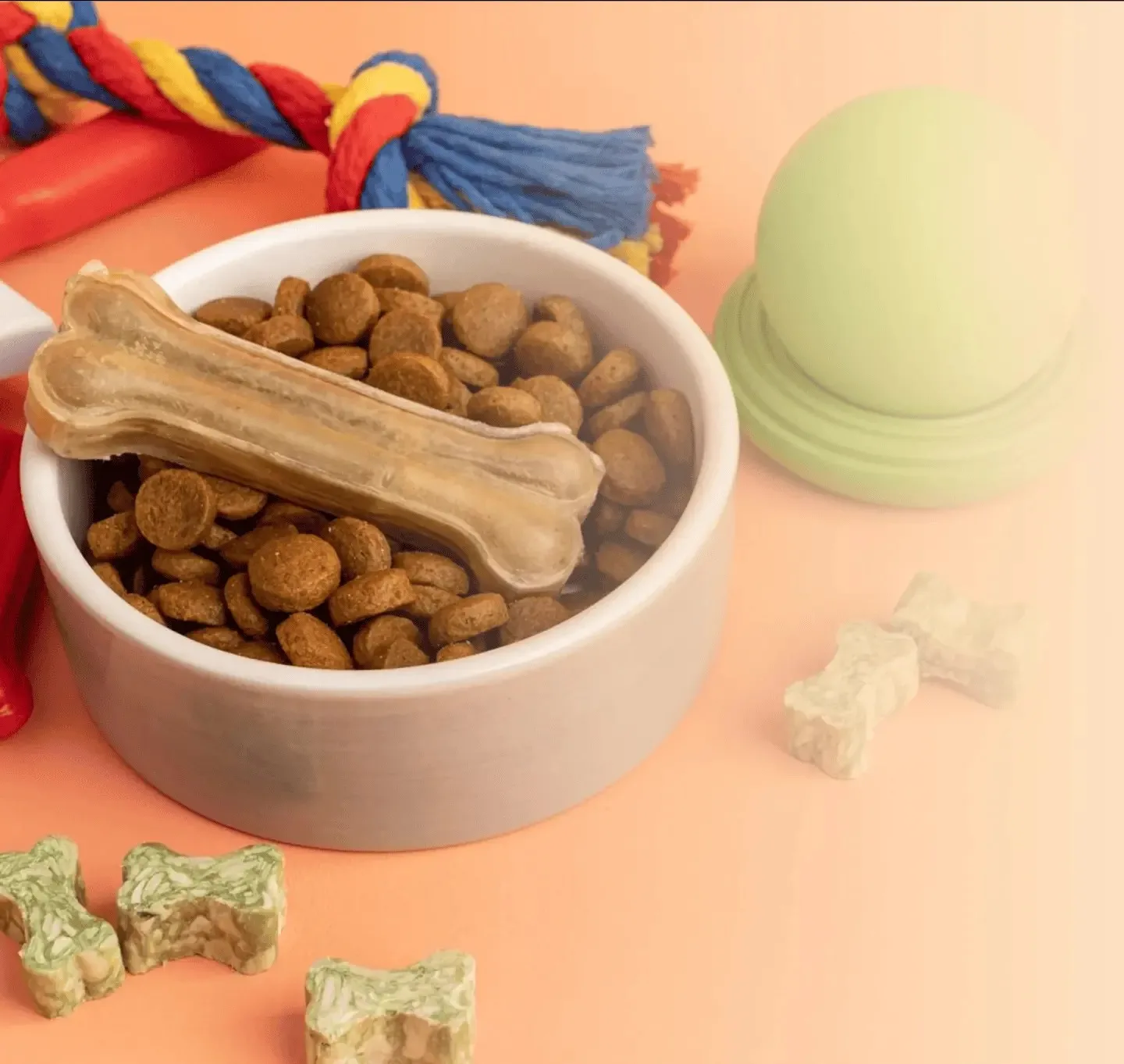 How Structured Pet Nutrition Is Becoming a Priority for Indian Pet Owners