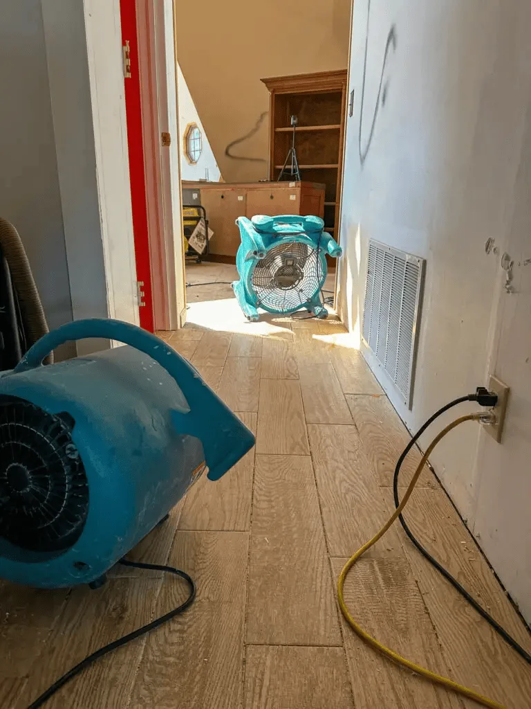 Water Damage Cleanup Salt Lake City: From Damage to Full Recovery