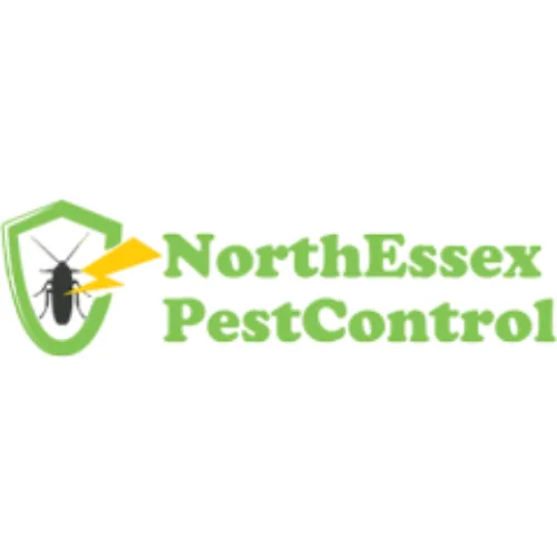 Mole Control Colchester: Effective Ways to Protect Your Garden and Property
