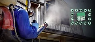 Wasp Nest Removal Colchester: Safe and Effective Solutions for Wasp Problems