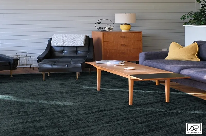 The Adaptable Essential for Multi-Family Homes: Gray and White Indoor and Outdoor Rugs