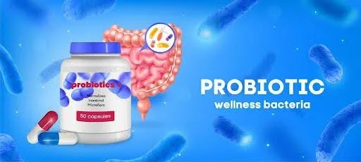 Leading Probiotic Manufacturers in Hyderabad – Innovative Gut Health Solutions by Vakya Prob