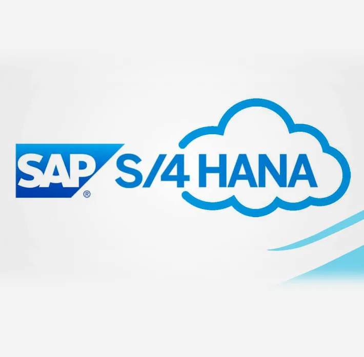 SAP S/4HANA Solutions: A Complete Approach to Cloud ERP with RISE with SAP Partners