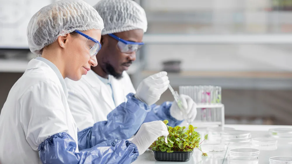 How to Organize a Biotechnology Industry Email List for Targeted Marketing