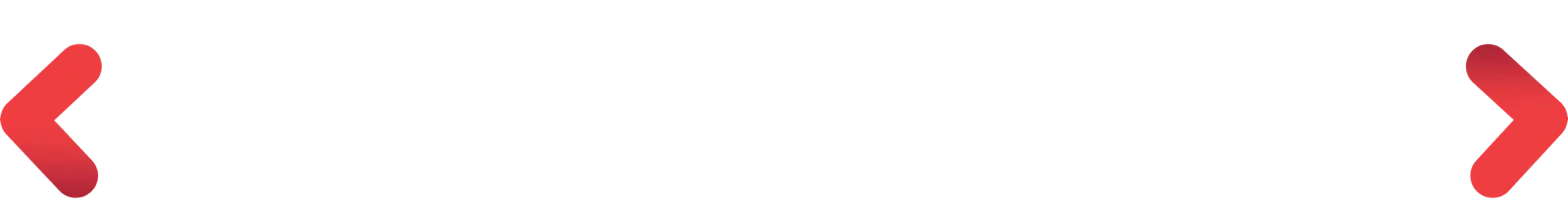 Dallas SEO Services That Drive Real Business Growth | BrandLoom USA