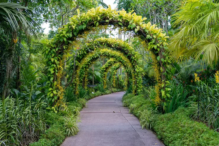 Arbor Kits: What They Are, What to Look For, and How to Choose the Right One