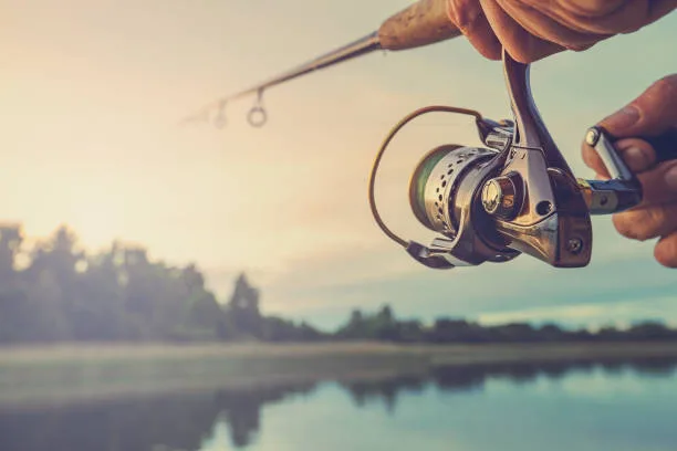 Quorelynx Fishing Reels Redefine Power and Precision for Modern Anglers