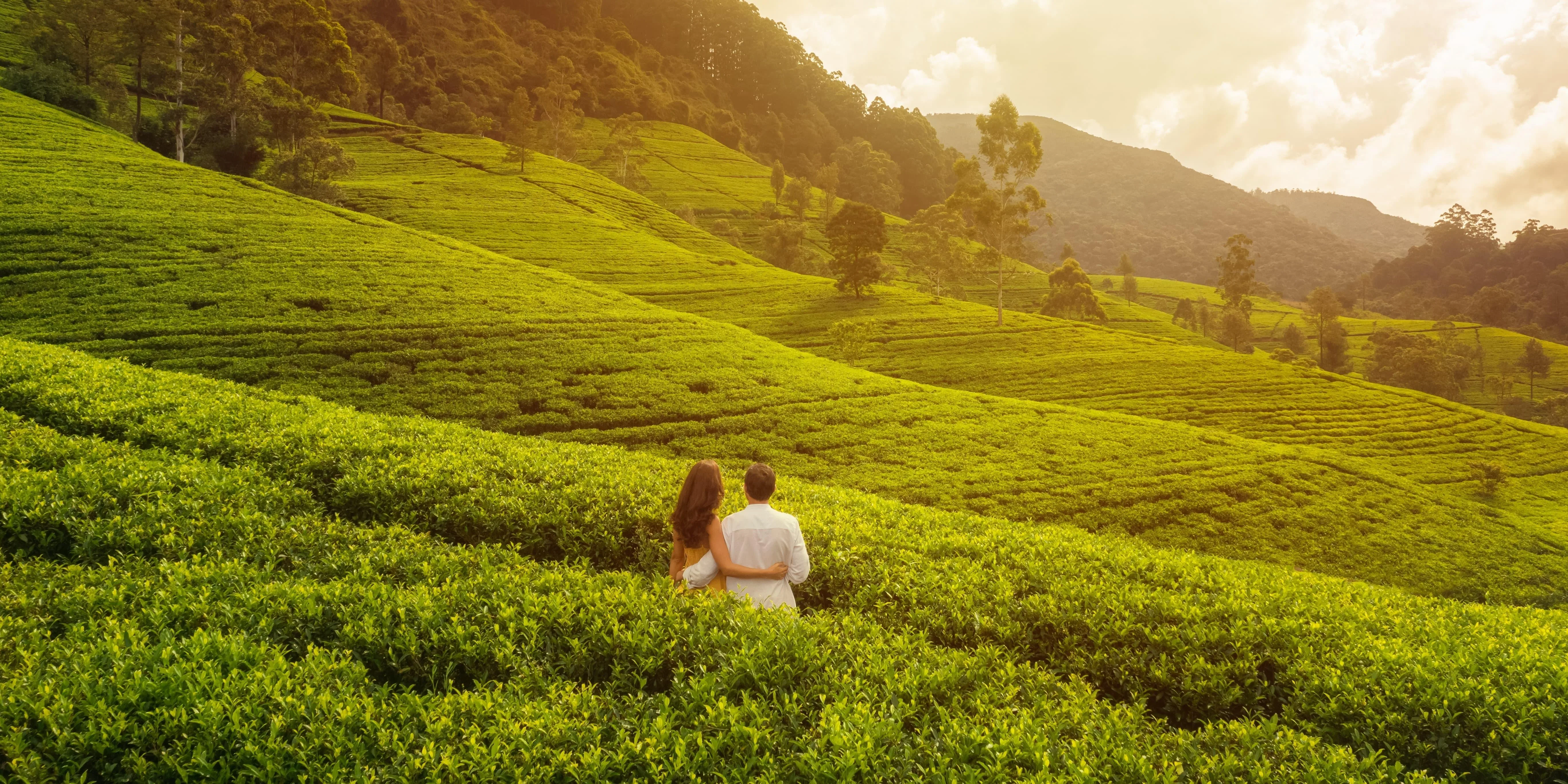 Top Honeymoon Destinations in Kerala