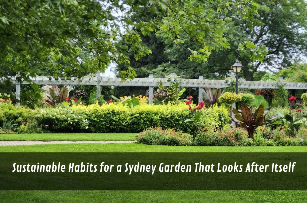 Sustainable Habits for a Sydney Garden That Looks After Itself