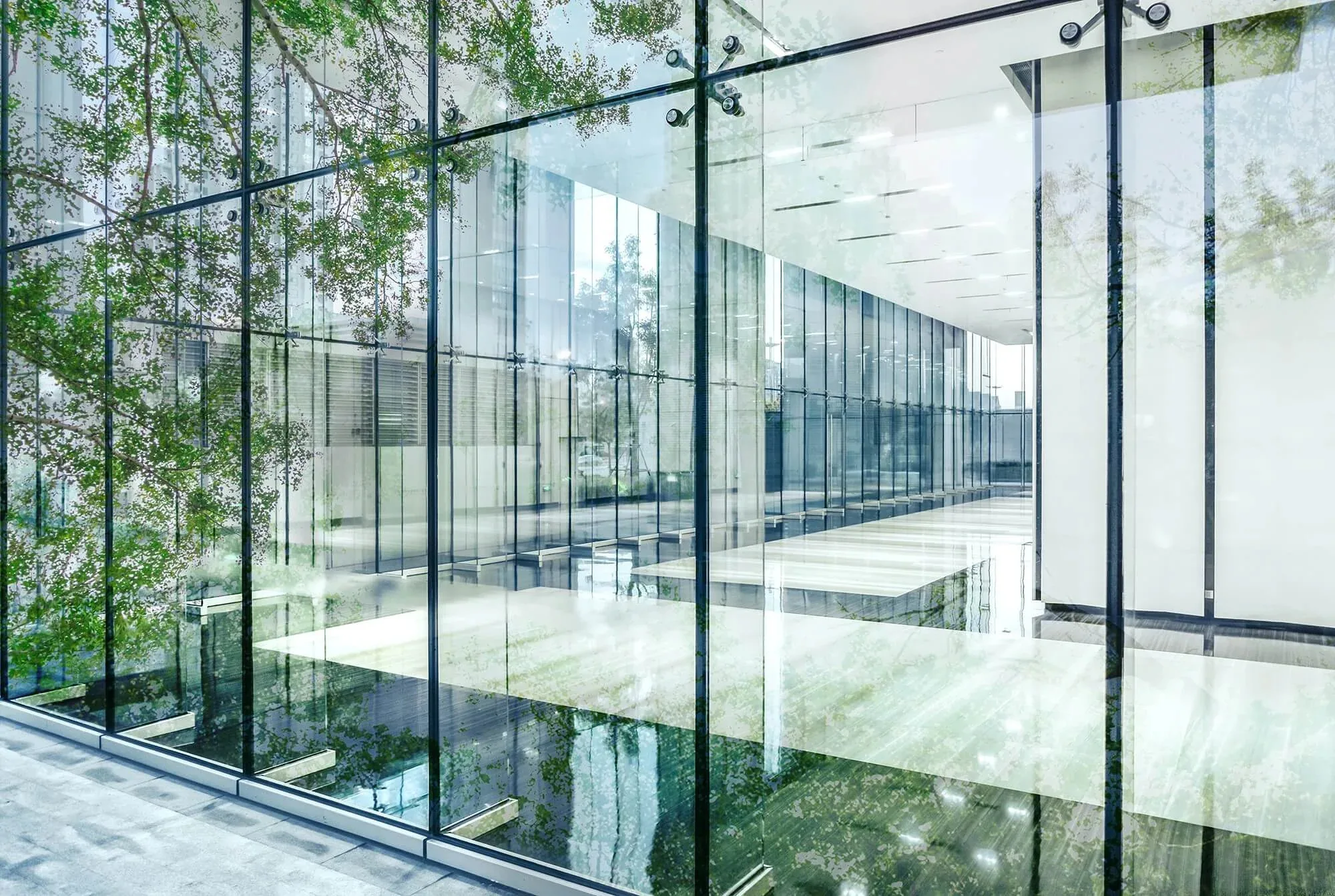 Toughened Glass Shop Front Doors: A Practical Guide for Derby Businesses