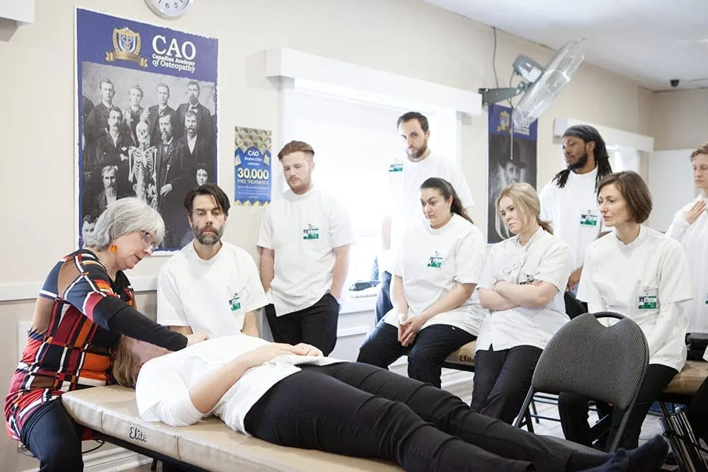 The Path to True Healing: Why Choose Manual Osteopathy for Long-Term Wellness?