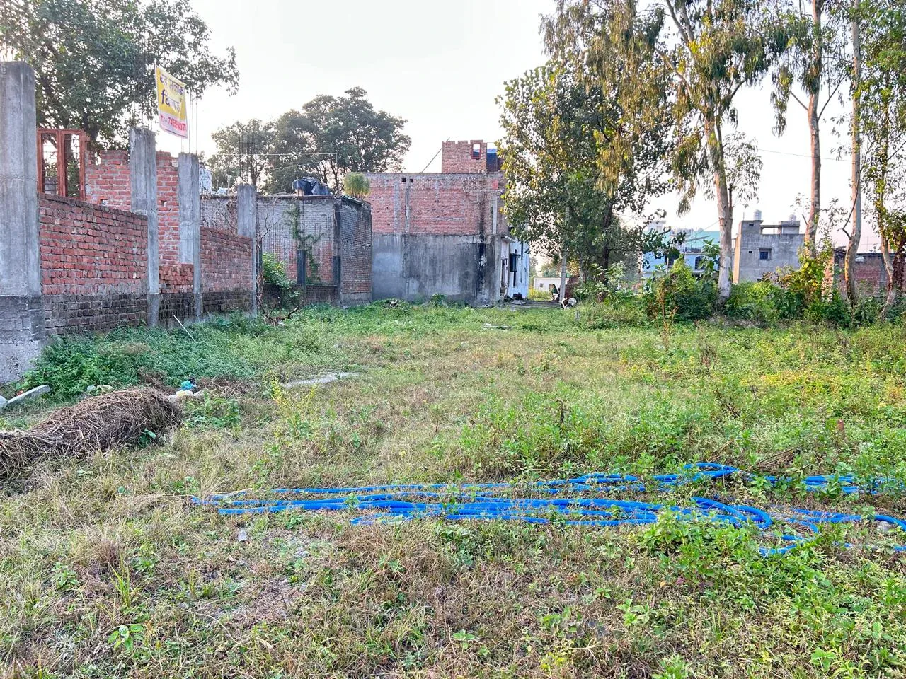 Plots for Sale in Selaqui - A Simple Guide to Buying a Plot on Nigam Road