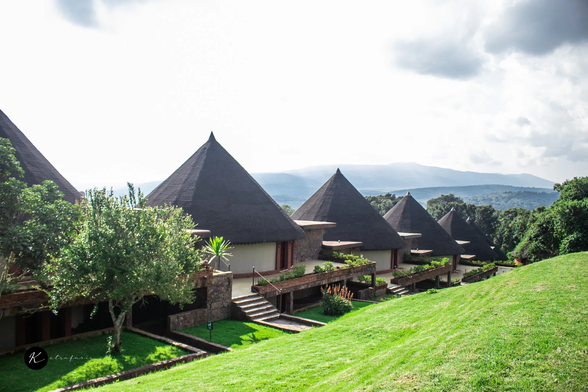 Private vs Group Tanzania Safari: What’s the Real Difference?