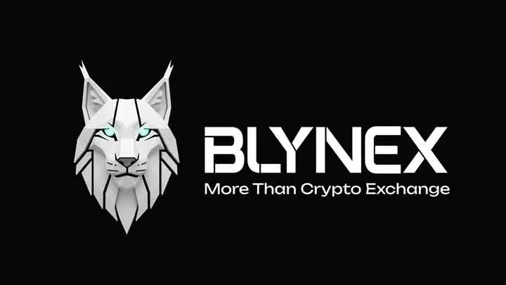 How Traders Can Explore Hybrid Futures Markets with Blynex